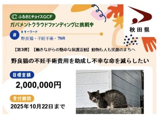 クラウドファンディング型ふるさと納税に挑戦します！「野良猫の不妊手術費用を助成し不幸な命を減らしたい」挑戦期間　2025年10月22日まで不幸な猫をこれ以上増やさないように、秋田県内で野良猫の不妊手術に取り組んでいる方々を支援するためのプロジェクトです。人と猫が共生できる社会を目指して、ぜひともご寄付とシェア拡散での応援をよろしくお願いいたします。※秋田県内にお住まいの方もご寄付をすることで税金の控除が受けられます。🐈ご支援ページhttps://www.furusato-tax.jp/gcf/4212検索するには　🔍 ふるさとチョイス 第３弾 いぬねこネットワーク秋田🐈ふるさと納税で支援の手順①秋田県のプロジェクトページにアクセス　https://www.furusato-tax.jp/gcf/4212②お申込み手続きを行う【ふるさと納税で応援】をクリック③寄付金額入力ページ　金額を入力し【このプロジェクトへ寄付する】　をクリック④ふるさとチョイス　ログイン画面　会員登録 → 新規登録、または他サービスのID　を利用してログイン　⑤ページの案内順に手続きを進める⑥お支払い方法の選択　対応している決済方法　クレジットカード払い、Amazon Pay　PayPay、d払い、au PAY、楽天ペイ　メルペイ、あと払い（ペイディ）　ソフトバンクまとめて支払い、PayPal　auかんたん決済、ネットバンク支払い　コンビニ支払い、ペイジー支払い　郵便振替（ふるさとチョイス発行）　銀行振込（GMOあおぞらネット銀行）⑦ご寄付完了