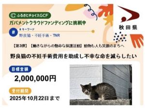 クラウドファンディング型ふるさと納税に挑戦します！「野良猫の不妊手術費用を助成し不幸な命を減らしたい」挑戦期間　2025年10月22日まで不幸な猫をこれ以上増やさないように、秋田県内で野良猫の不妊手術に取り組んでいる方々を支援するためのプロジェクトです。人と猫が共生できる社会を目指して、ぜひともご寄付とシェア拡散での応援をよろしくお願いいたします。※秋田県内にお住まいの方もご寄付をすることで税金の控除が受けられます。🐈ご支援ページhttps://www.furusato-tax.jp/gcf/4212検索するには　🔍 ふるさとチョイス 第３弾 いぬねこネットワーク秋田🐈ふるさと納税で支援の手順①秋田県のプロジェクトページにアクセス　https://www.furusato-tax.jp/gcf/4212②お申込み手続きを行う【ふるさと納税で応援】をクリック③寄付金額入力ページ　金額を入力し【このプロジェクトへ寄付する】　をクリック④ふるさとチョイス　ログイン画面　会員登録 → 新規登録、または他サービスのID　を利用してログイン　⑤ページの案内順に手続きを進める⑥お支払い方法の選択　対応している決済方法　クレジットカード払い、Amazon Pay　PayPay、d払い、au PAY、楽天ペイ　メルペイ、あと払い（ペイディ）　ソフトバンクまとめて支払い、PayPal　auかんたん決済、ネットバンク支払い　コンビニ支払い、ペイジー支払い　郵便振替（ふるさとチョイス発行）　銀行振込（GMOあおぞらネット銀行）⑦ご寄付完了