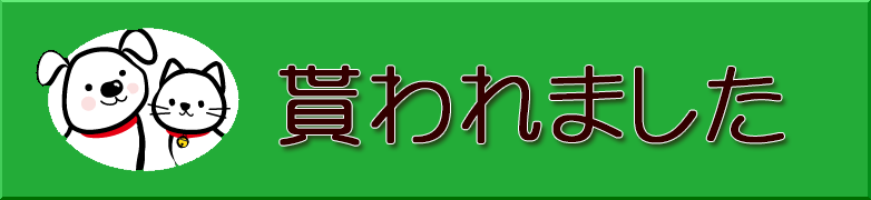 新しい家族にめぐりあえた犬・猫のご報告はこちら