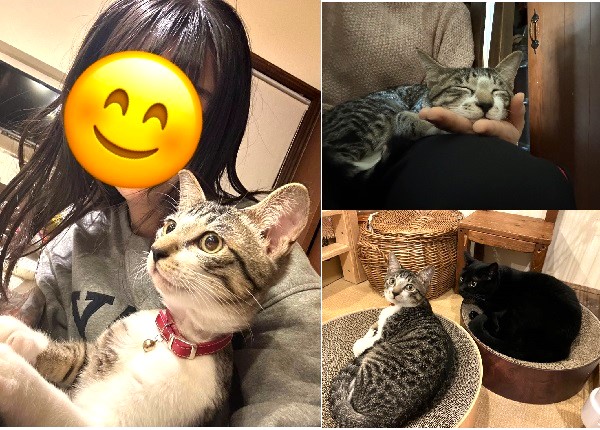 りっつ（秋田市）2ヶ月経ちました。毎日元気いっぱい駆け回っています。先住猫のことが大好きですがしつこくしすぎて猫パンチされることもあります。それでもめげずに後を追っています。また、眠くなると家族の誰かにくっついている甘えん坊さんで、夜は布団に入ってきます。家族みんなが癒やされています。