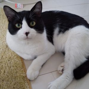 伍助（秋田市）毎日元気過ごしてます。